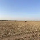 محوري 6 ابراج في الفويلق قابل التحويل الي كهرباء