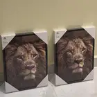 لوحات جديده