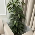 اثاث البيع