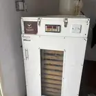 فقاسه