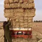 تبن بر صافي