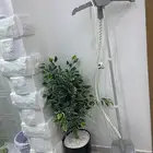 كوايه بخار للبيع مكه