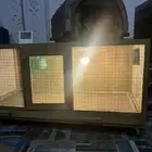حاضنة صوص