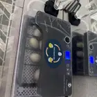 فقاسه بيض اتوماتكيه للدجاج او اي نوع من طيور تحمل عشرين بيض