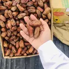 تمر صفري حبه كبير فاخر