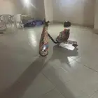 سكوتر