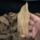 عود مروكي أصقون طبيعي 100  100