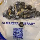 صواميل شاص و ددسن وكالة