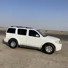 باثفاندر 2010