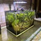 حوض مزوع متكامل منظر خيالي مع الاسماك