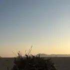 للبيع صندوق غمارتين حمل لتنده