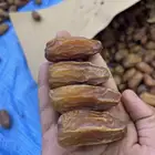 تمر صفري هرجاب