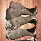 روس قهابا للبيع