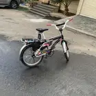 رامبو للبيع