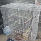 اقفاص لطيور