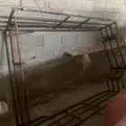 للبيع شد هايلوكس غماره