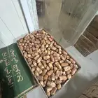 تمر متلبن