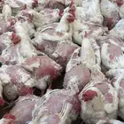 دجاج ابيض 4كيلو على 35