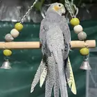 كروان نورمل اليفه تم البيع