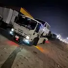 سطحه الليث