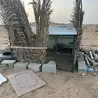 شبك دجاج
