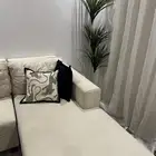 كنب امريكي