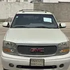 دينالي