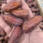 صافي اشعل حبه كبير