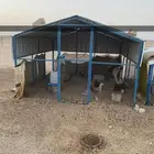 صندقة حمام او دجاج