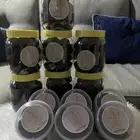 بخور دورسري