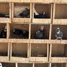 حمام قنادي البيع مستعجل