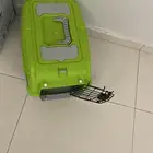 اعراض قطط للبيع