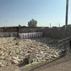 خبز حلال نظيف شرط وعبو طيب