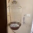 قفص للبيع