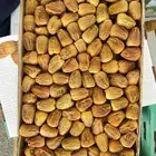 سكري مفتل رقم 1