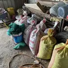 تمر علف للغنم