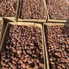 تمر صفري صافي