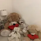 دبب