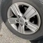 جنوط