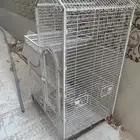 قفص كاسكو كبير