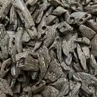 كلمنتان العود الازرق