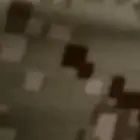 مطلوب طير شبوط او مارلين او باشق