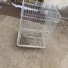 قفص كاسكو للبيع