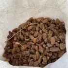 للبيع تمر ناشف علف 40 كيس شعير