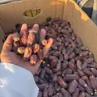 تمر برني مبروم