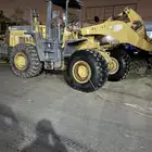 شيول للإيجار