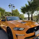 Ford Mustang GT 2019   Performance Package