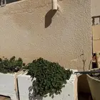 احواض زراعة