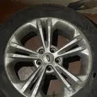 جنوط تورس