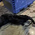 مدهنة سمن نظيفة